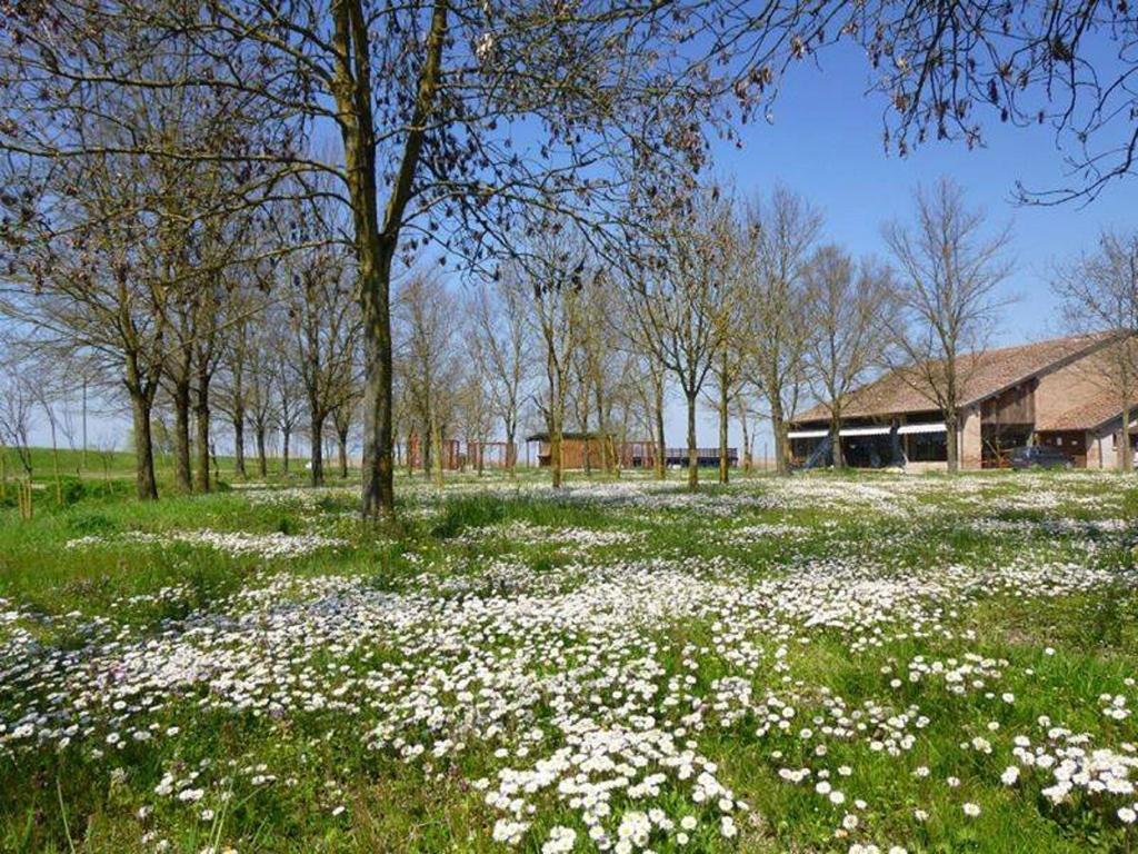 Maison d'hôtes La Tomina à Mirandola Chambre photo